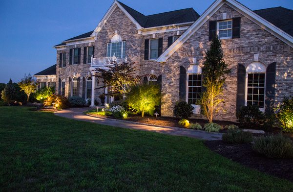 Landscape Lighting Accentuating Plants and Walkway